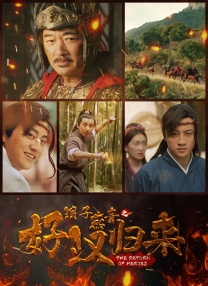 龙城电视剧免费观看全集